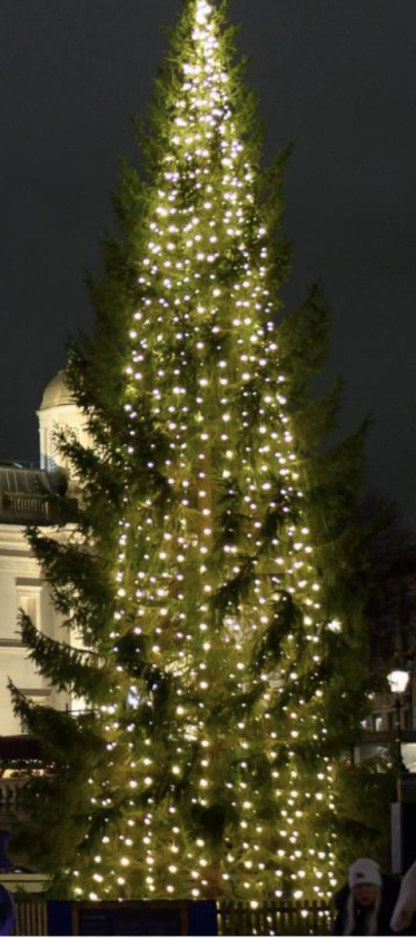 Christmas tree 