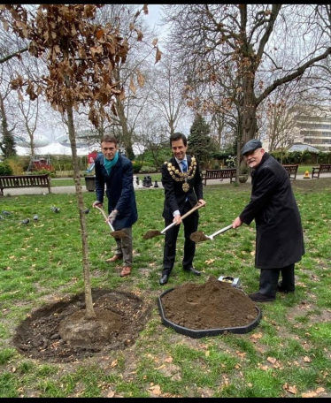 Tree Planting