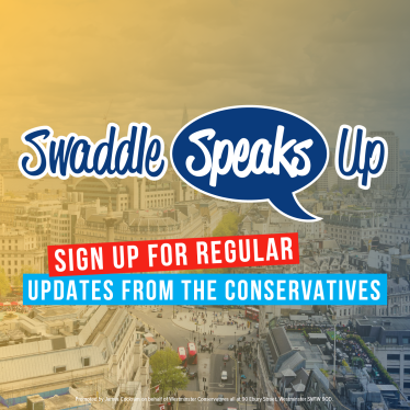 Swaddle Speaks Up