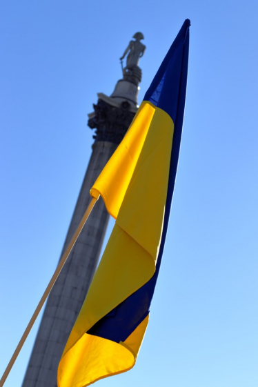 Ukrainian Flag