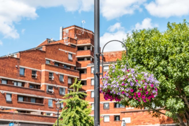 A greener City 